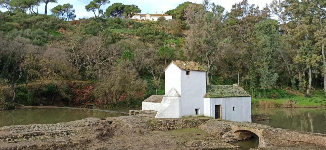 La Casa Del Cura 1935 Lejlighed Alcalá de Guadaira Eksteriør billede