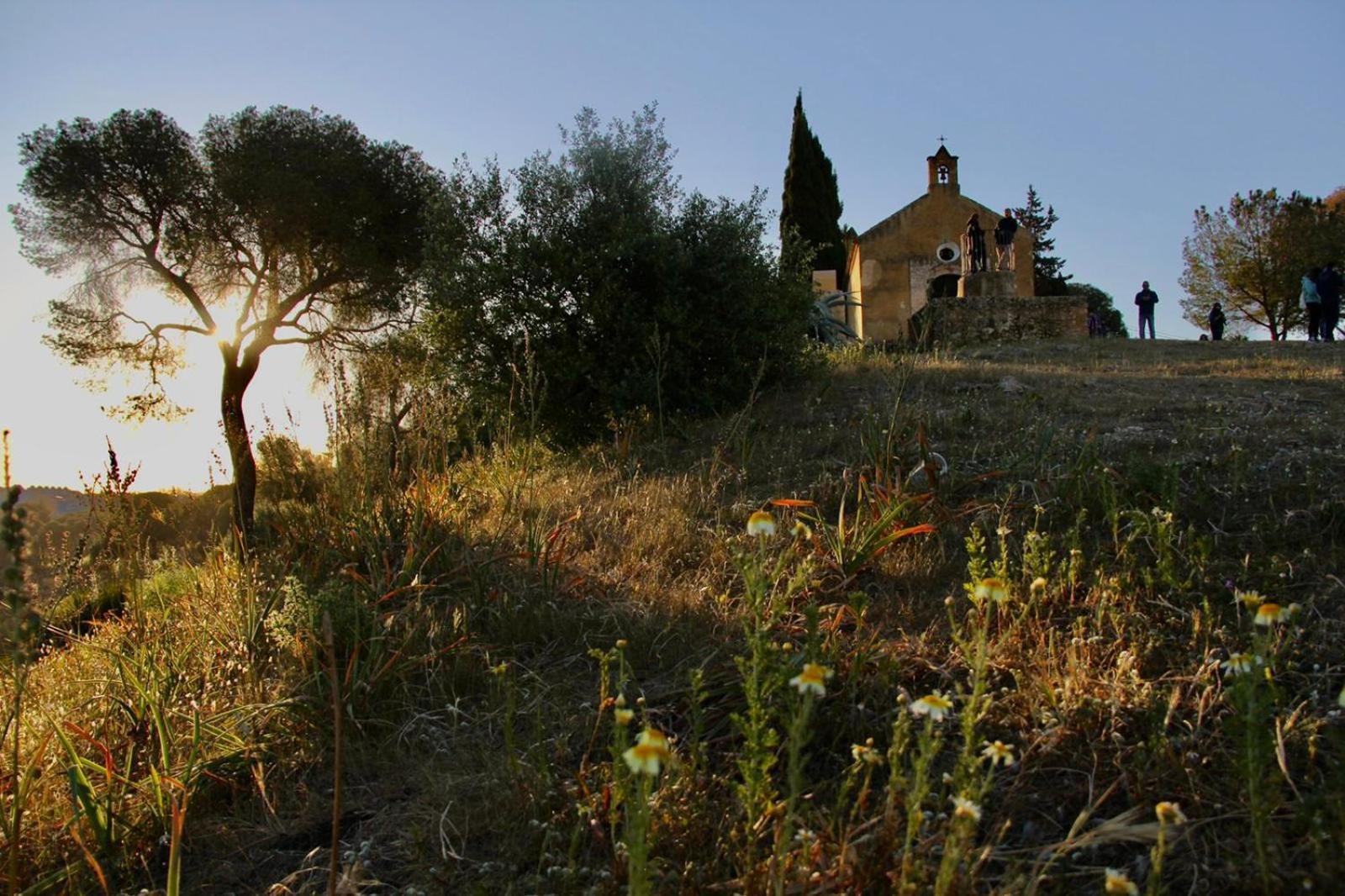 La Casa Del Cura 1935 Lejlighed Alcalá de Guadaira Eksteriør billede